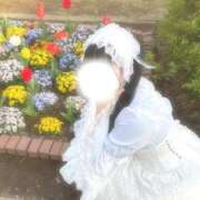 ヒメ日記 2026/04/06 16:40 投稿 ミオ ソープランドMAX‐マックス-