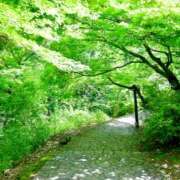 ヒメ日記 2025/12/24 23:18 投稿 さな VIVIDCREW十三店