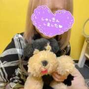 ヒメ日記 2025/12/19 20:34 投稿 三上りず 手コキ研修塾