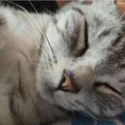 ヒメ日記 2025/12/02 07:00 投稿 はつみ☆未経験ピュア超清純若奥様 PREMIUM萌え可愛いチョコレート～全てのステージで感動の体験を～