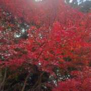 ヒメ日記 2025/12/13 20:01 投稿 はつみ☆未経験ピュア超清純若奥様 PREMIUM萌え可愛いチョコレート～全てのステージで感動の体験を～