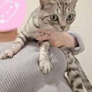 ヒメ日記 2025/12/19 20:14 投稿 はつみ☆未経験ピュア超清純若奥様 PREMIUM萌え可愛いチョコレート～全てのステージで感動の体験を～