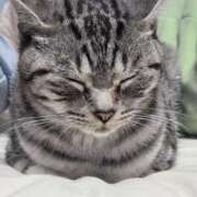 ヒメ日記 2026/01/17 00:03 投稿 はつみ☆未経験ピュア超清純若奥様 PREMIUM萌え可愛いチョコレート～全てのステージで感動の体験を～