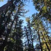 ヒメ日記 2026/02/03 18:22 投稿 はつみ☆未経験ピュア超清純若奥様 PREMIUM萌え可愛いチョコレート～全てのステージで感動の体験を～