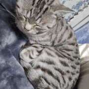 ヒメ日記 2026/03/03 20:28 投稿 はつみ☆未経験ピュア超清純若奥様 PREMIUM萌え可愛いチョコレート～全てのステージで感動の体験を～