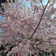 はつみ☆未経験ピュア超清純若奥様 こんばんは🌙😃❗ PREMIUM萌え可愛いチョコレート～全てのステージで感動の体験を～