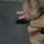 ヒメ日記 2026/02/03 17:56 投稿 あすな E+アイドルスクール　大阪・日本橋店