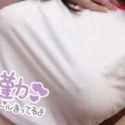 ヒメ日記 2026/04/08 13:06 投稿 はるか 埼玉熊谷ちゃんこ