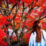 ヒメ日記 2025/10/03 20:29 投稿 もあ 鹿児島ちゃんこ 薩摩川内店