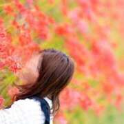 ヒメ日記 2025/10/09 15:58 投稿 もあ 鹿児島ちゃんこ 薩摩川内店