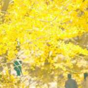 ヒメ日記 2025/11/13 20:45 投稿 もあ 鹿児島ちゃんこ 薩摩川内店