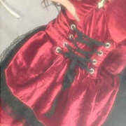 ヒメ日記 2026/02/14 20:03 投稿 かるあ アレグリア