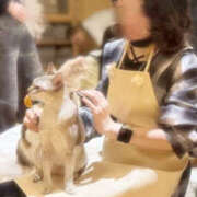 ヒメ日記 2026/03/30 17:21 投稿 かるあ アレグリア