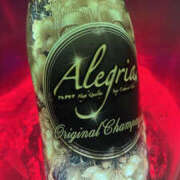 ヒメ日記 2026/03/30 19:54 投稿 かるあ アレグリア