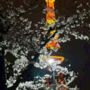 ヒメ日記 2026/03/31 19:46 投稿 かるあ アレグリア