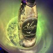 ヒメ日記 2026/08/04 17:37 投稿 かるあ アレグリア