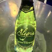かるあ 🥂 アレグリア
