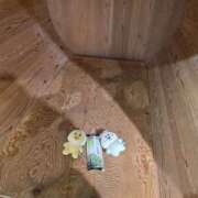 ヒメ日記 2025/10/31 02:06 投稿 君野あいす 色気あるワイフ