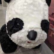 ヒメ日記 2025/11/29 18:30 投稿 君野あいす 色気あるワイフ