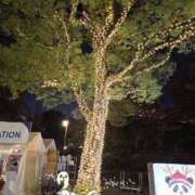 ヒメ日記 2025/12/12 06:05 投稿 君野あいす 色気あるワイフ