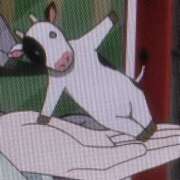 ヒメ日記 2026/01/06 09:42 投稿 君野あいす 色気あるワイフ