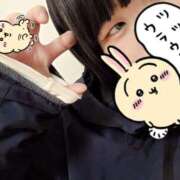 ヒメ日記 2025/11/11 23:47 投稿 君野あいす 麗しいマダム