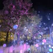 ヒメ日記 2025/11/28 23:04 投稿 君野あいす 美魔女エステ