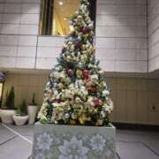 ヒメ日記 2025/12/02 01:35 投稿 君野あいす 美魔女エステ