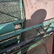 ヒメ日記 2025/12/18 08:53 投稿 君野あいす 美魔女エステ