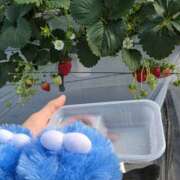 ヒメ日記 2026/01/11 16:30 投稿 君野あいす 美魔女エステ