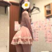 成海 ことね 🐈🐾 プルプルハウス