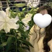 ヒメ日記 2025/11/16 19:42 投稿 夏空 キセキ☆3 TiAmo（ティアモ）