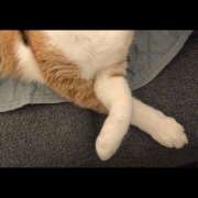 ヒメ日記 2026/05/13 20:17 投稿 柴崎 りさ 千葉Grand Mrs.