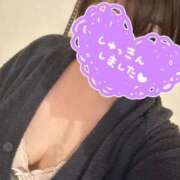 ヒメ日記 2025/11/20 09:05 投稿 しゅうか 池袋デリヘル倶楽部