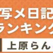 ヒメ日記 2025/11/10 15:36 投稿 上原 らん リップスティック