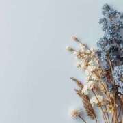 ヒメ日記 2026/02/27 18:15 投稿 なぎさ 待ちナビ