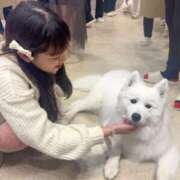 ヒメ日記 2025/11/26 19:23 投稿 ろあ 池袋マリン別館