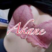 ヒメ日記 2025/10/13 13:00 投稿 柊あかね 五反田ヒーローズ（ユメオト）