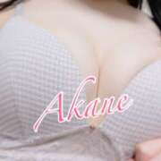 ヒメ日記 2025/10/21 10:00 投稿 柊あかね 五反田ヒーローズ（ユメオト）