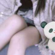 ヒメ日記 2026/04/04 11:32 投稿 なつめ 川越ぽちゃまに