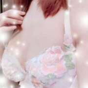 ヒメ日記 2026/02/09 12:00 投稿 せいこ 東京人妻セレブリティ（ユメオト）