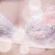 ヒメ日記 2026/02/10 03:08 投稿 せいこ 東京人妻セレブリティ（ユメオト）