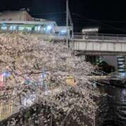 ヒメ日記 2026/04/04 15:28 投稿 せいこ 東京人妻セレブリティ（ユメオト）