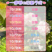 ヒメ日記 2025/10/03 13:58 投稿 ゆん ハピネス＆ドリーム福岡