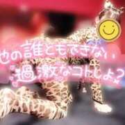 ヒメ日記 2025/10/08 15:57 投稿 リリカ バニーコレクション新潟店