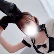 ヒメ日記 2026/04/18 20:41 投稿 リリカ バニーコレクション新潟店