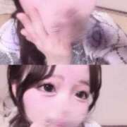 ヒメ日記 2025/11/09 17:20 投稿 本城あいこ ブルーバード