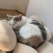 ヒメ日記 2025/10/14 12:22 投稿 さやか 蒲田ウルトラギャラクシー