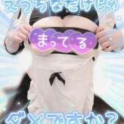 ヒメ日記 2026/02/17 20:01 投稿 ゆうは 学園祭