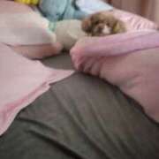 ヒメ日記 2025/11/27 06:42 投稿 白鷺さら ハールブルク